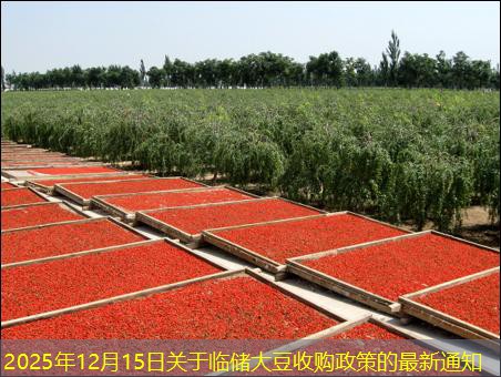 2025年12月15日关于临储大豆收购政策的最新通知