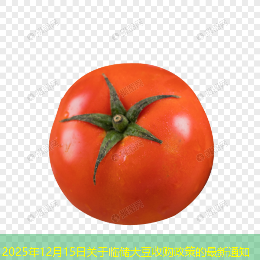2025年12月15日关于临储大豆收购政策的最新通知