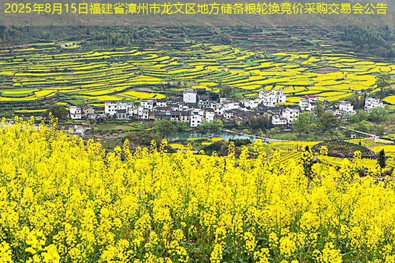 2025年8月15日福建省漳州市龙文区地方储备粮轮换竞价采购交易会公告