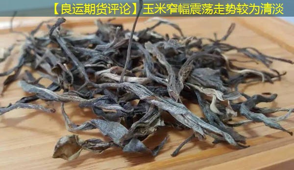 【良运期货评论】玉米窄幅震荡走势较为清淡