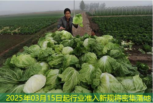 2025年03月15日起行业准入新规将密集落地