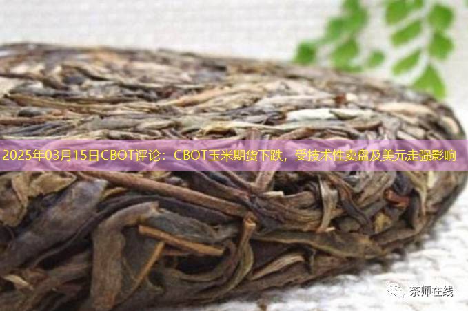 2025年03月15日CBOT评论：CBOT玉米期货下跌，受技术性卖盘及美元走强影响