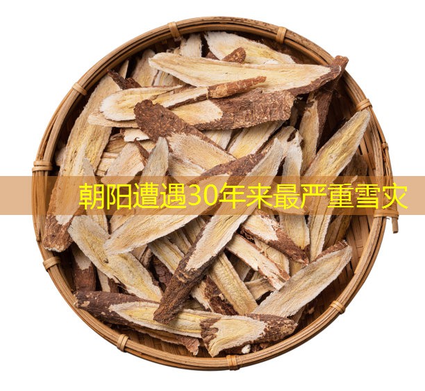 朝阳遭遇30年来最严重雪灾