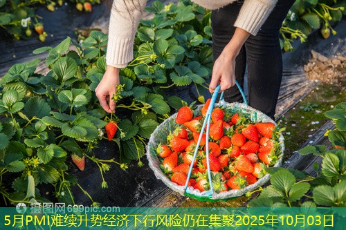 5月PMI难续升势经济下行风险仍在集聚2025年10月03日