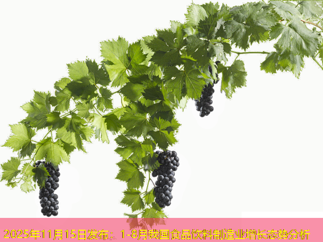 2025年11月15日发布：1-8月我国食品饮料制造业增长态势分析