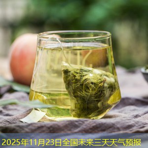 2025年11月23日全国未来三天天气预报