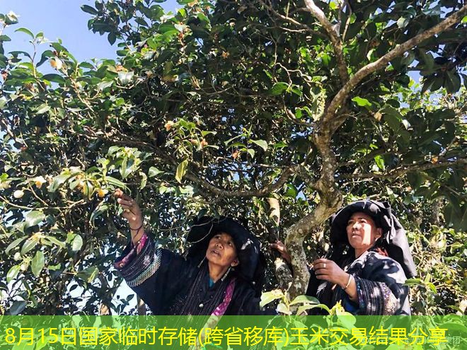 8月15日国家临时存储(跨省移库)玉米交易结果分享