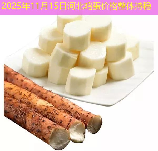 2025年11月15日河北鸡蛋价格整体持稳