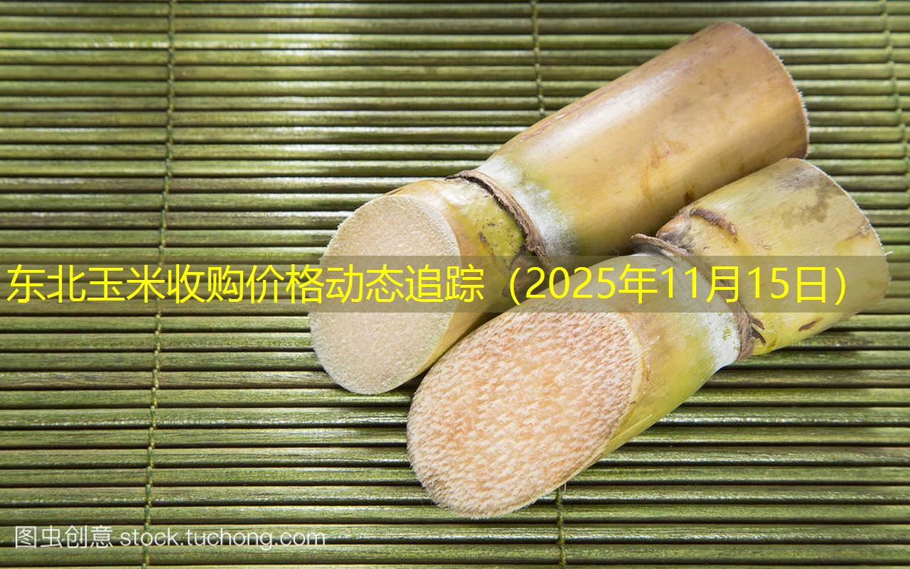 东北玉米收购价格动态追踪（2025年11月15日）