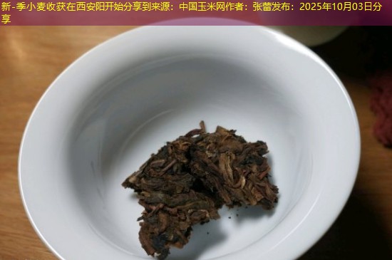 新-季小麦收获在西安阳开始分享到来源：中国玉米网作者：张蕾发布：2025年10月03日分享
