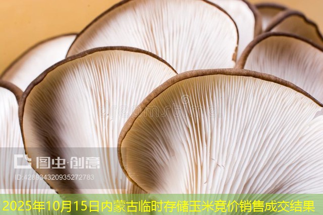 2025年10月15日内蒙古临时存储玉米竞价销售成交结果