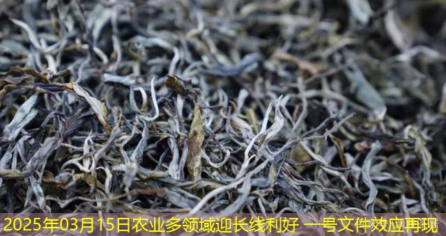 2025年03月15日农业多领域迎长线利好 一号文件效应再现