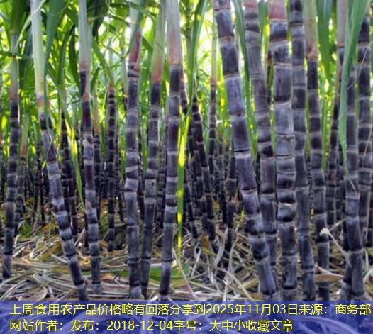 上周食用农产品价格略有回落分享到2025年11月03日来源：商务部网站作者：发布：2018-12-04字号：大中小收藏文章