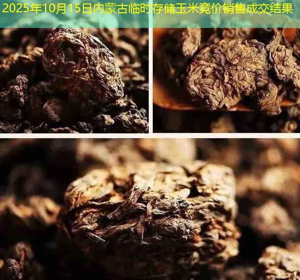 2025年10月15日内蒙古临时存储玉米竞价销售成交结果
