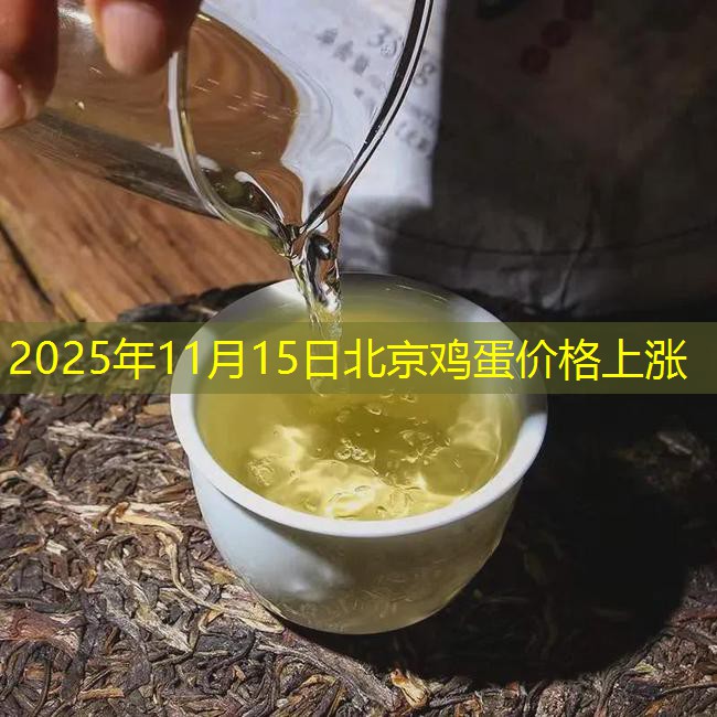 2025年11月15日北京鸡蛋价格上涨