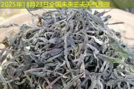 2025年11月23日全国未来三天天气预报