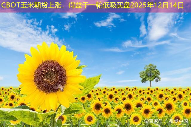 CBOT玉米期货上涨，得益于一轮低吸买盘2025年12月14日