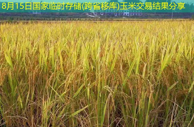 8月15日国家临时存储(跨省移库)玉米交易结果分享