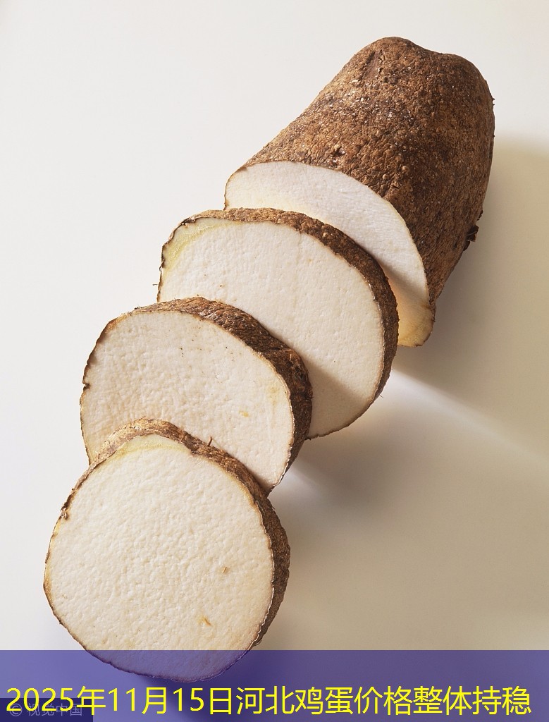 2025年11月15日河北鸡蛋价格整体持稳