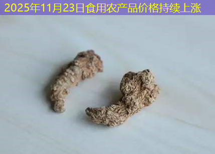 2025年11月23日食用农产品价格持续上涨